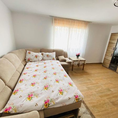 Andrei'S House Apartment Sibiu Exterior photo