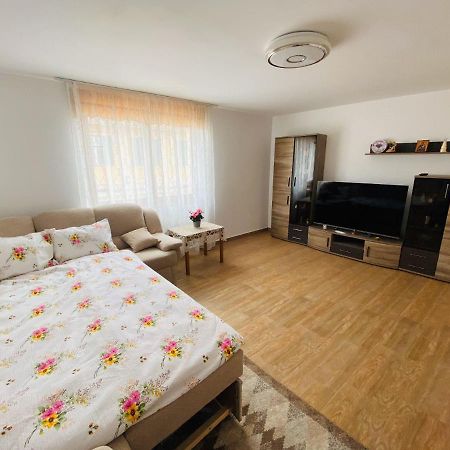 Andrei'S House Apartment Sibiu Exterior photo