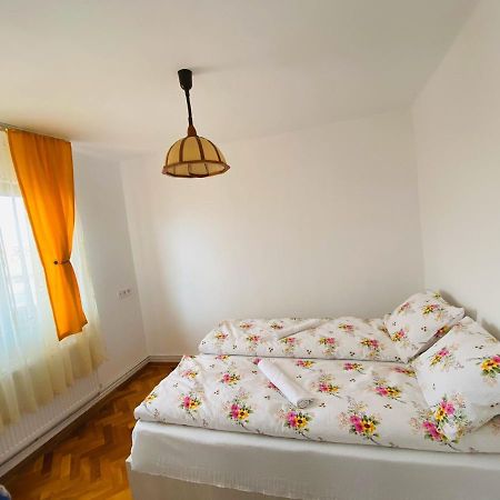 Andrei'S House Apartment Sibiu Exterior photo