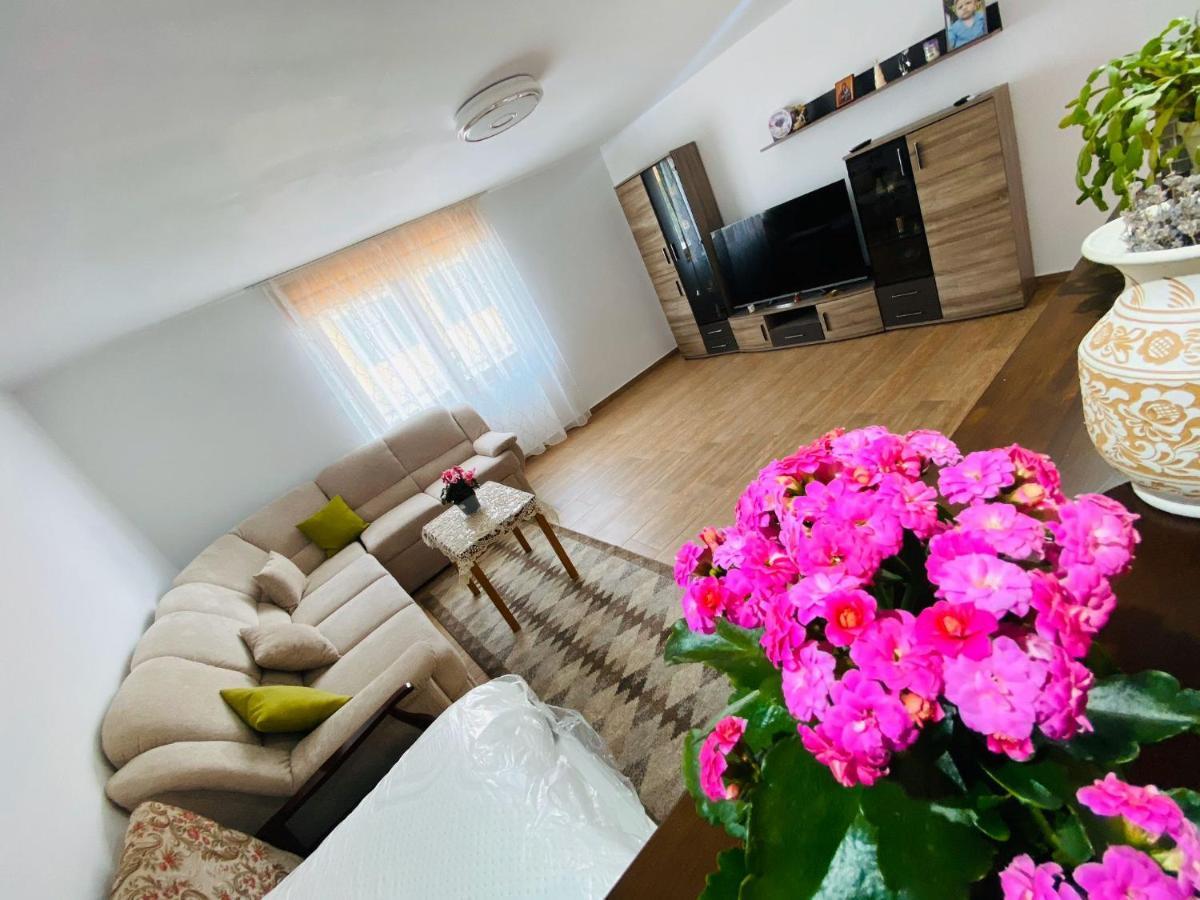 Andrei'S House Apartment Sibiu Exterior photo