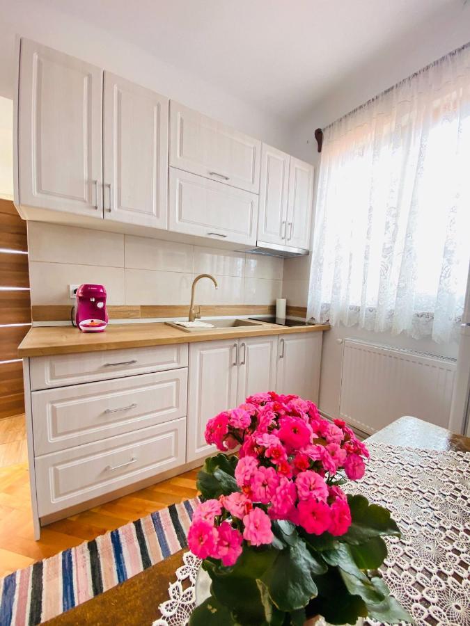 Andrei'S House Apartment Sibiu Exterior photo