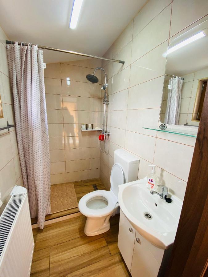 Andrei'S House Apartment Sibiu Exterior photo